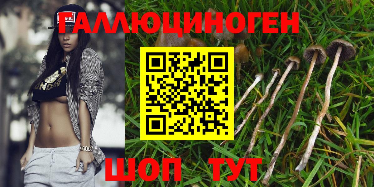  Cocaine Минеральные Воды