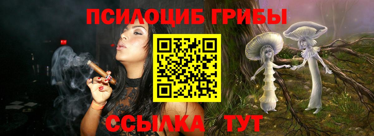 Минеральные Воды  Псилоцибиновые грибы Cubensis  Вход с VPN  Галлюциногенные грибы прущие грибы 