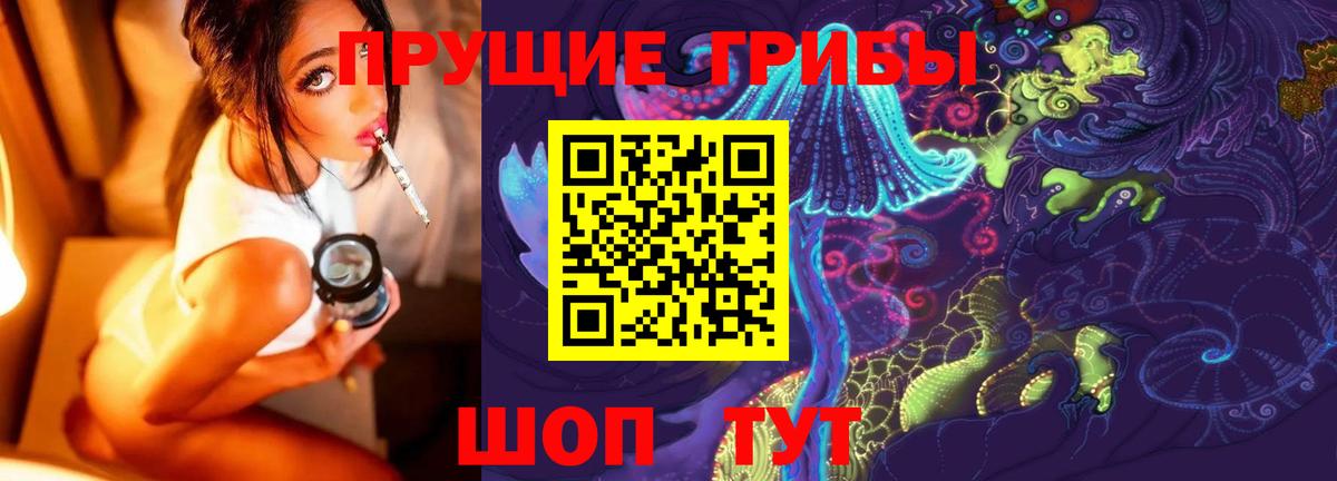 Псилоцибиновые грибы мухоморы Минеральные Воды